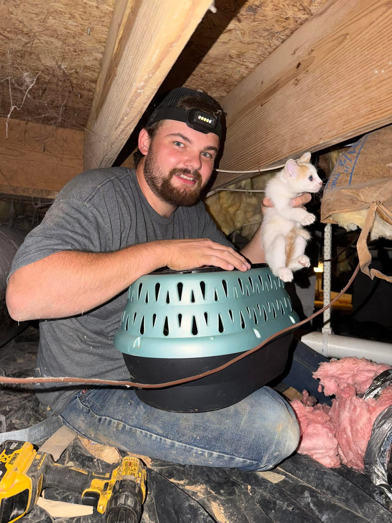 All Seasons technician in a crawlspace, smiling and holding a kitten he rescued during a service call